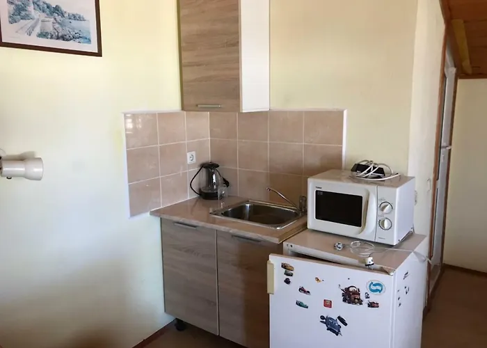 بيت ضيافة Petrovi 3*