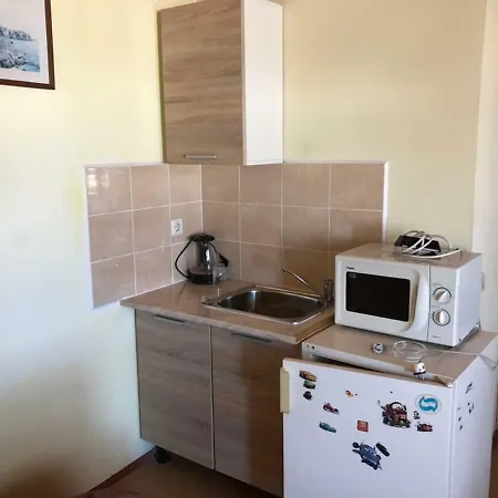 Guest house Petrovi 3*